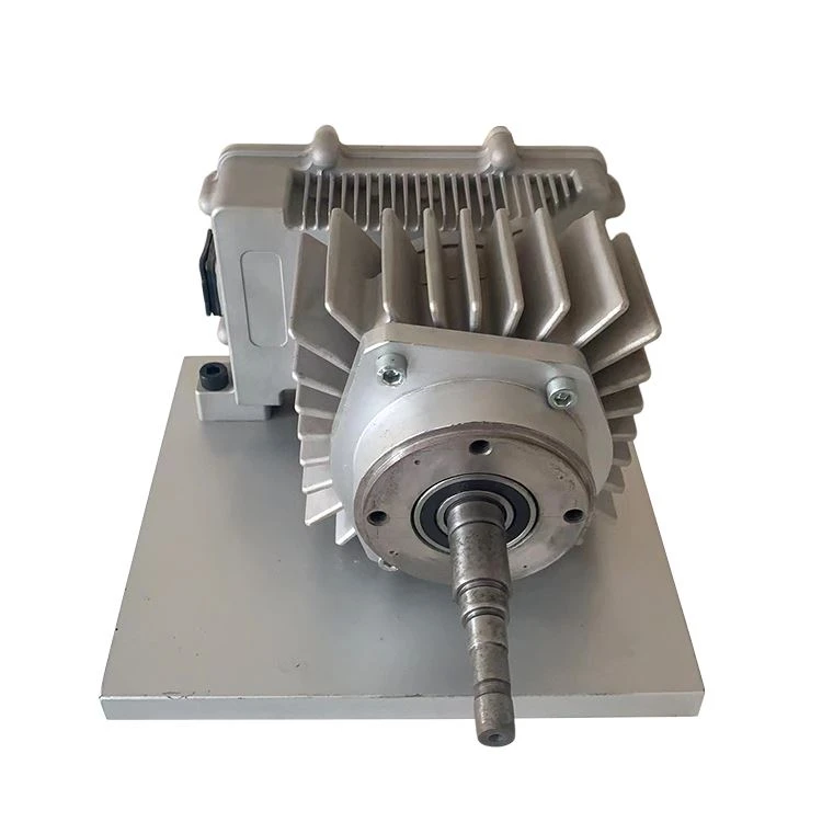 24V 450W Permanent Magnet Synchronous Motor Ebike
