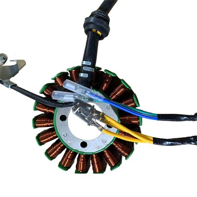 18 قطب سه فاز 300W DC Magneto Stator